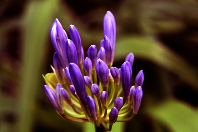 img3.webp